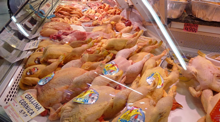 pollastre - mercat